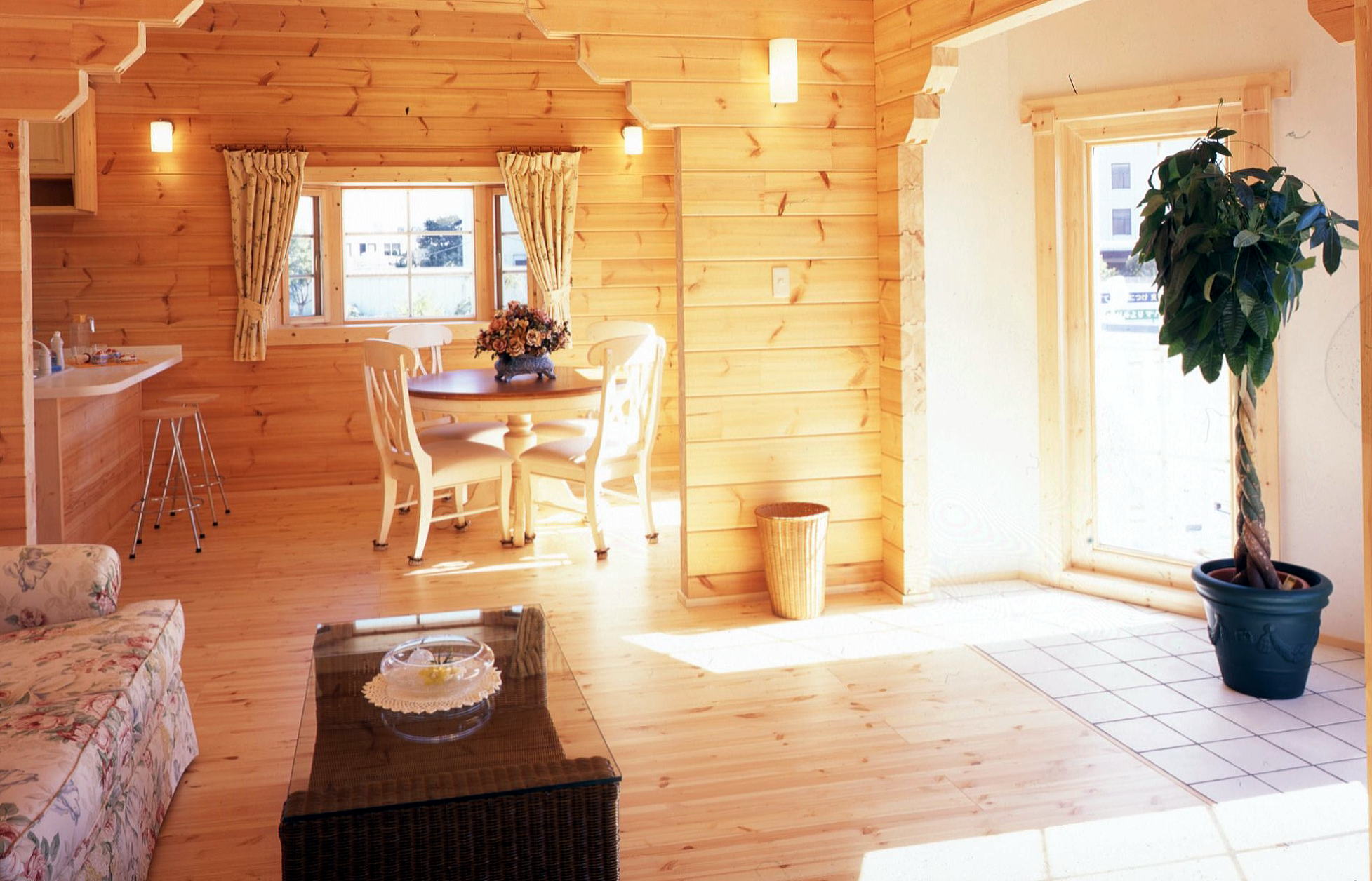 Log Cabin Park Model